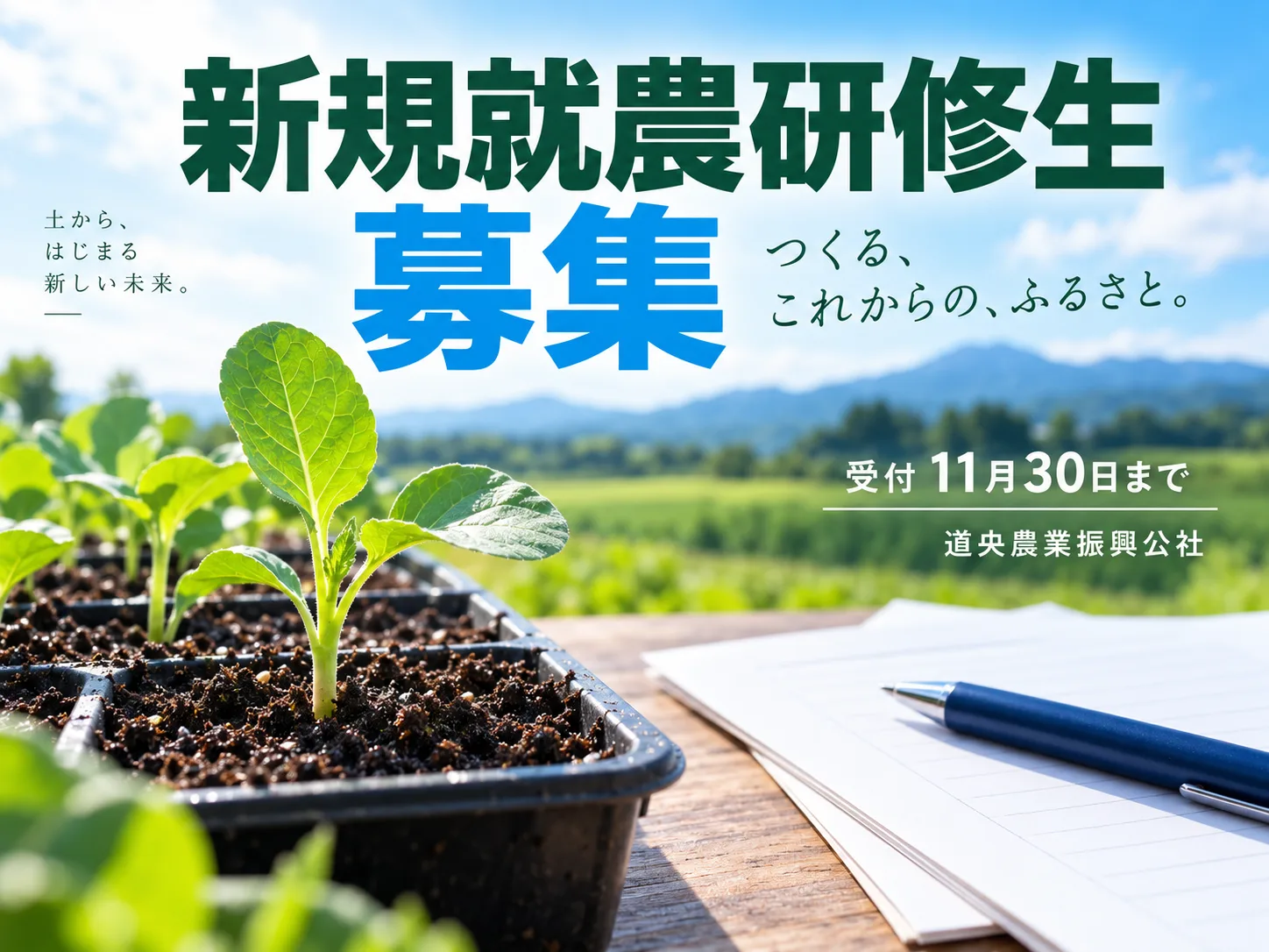 青空の畑に苗と応募書類を配し、道央農業振興公社の新規就農研修生募集と11月30日までの受付を示す、人物のいない画像